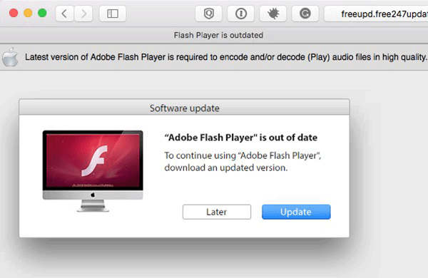 Adobe flash player installer.dmg virus protection